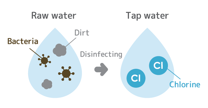 Timeline of Water Treatment Methods